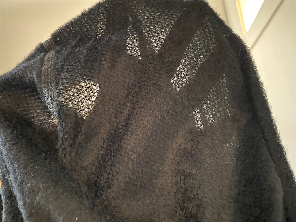 f:id:ksg2999:20241213220755j:image