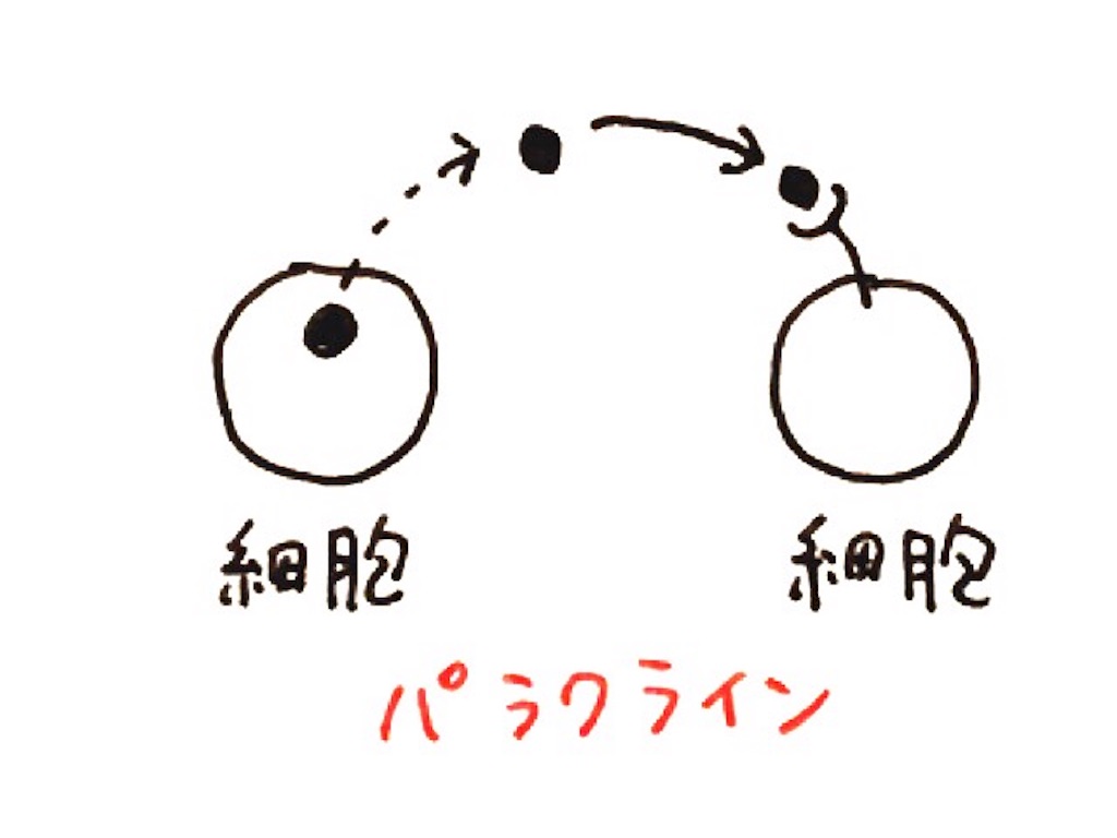 f:id:kshinagawa:20161009082235j:image f:id:kshinagawa:20161009082235j:image