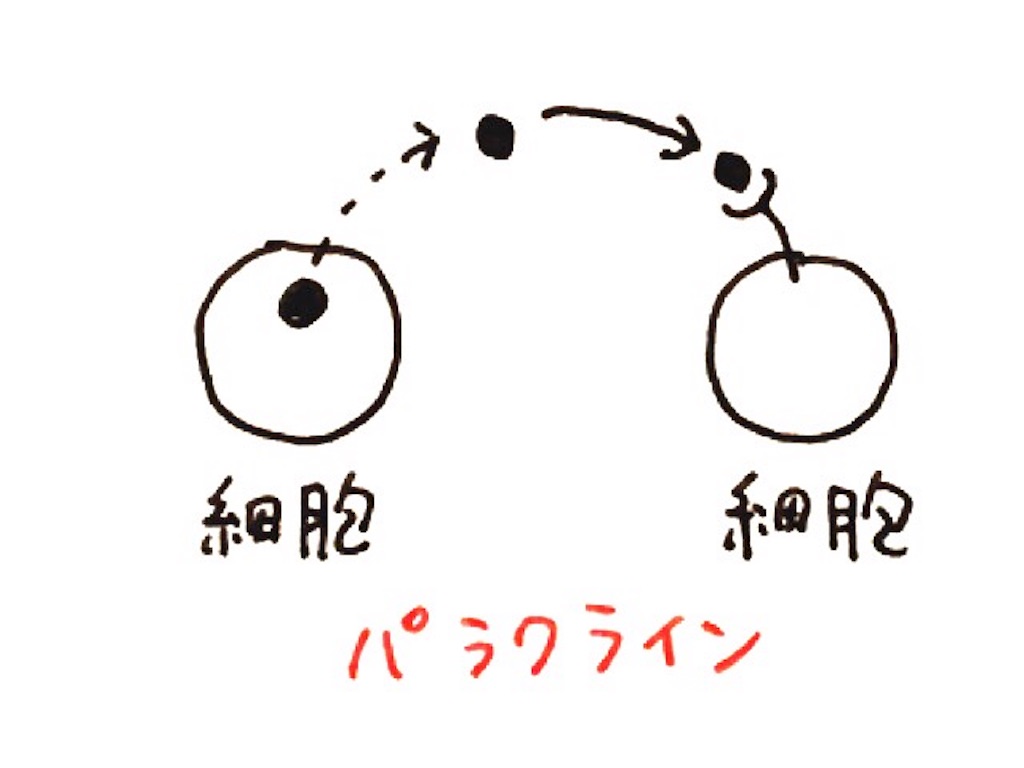 f:id:kshinagawa:20161009082235j:image