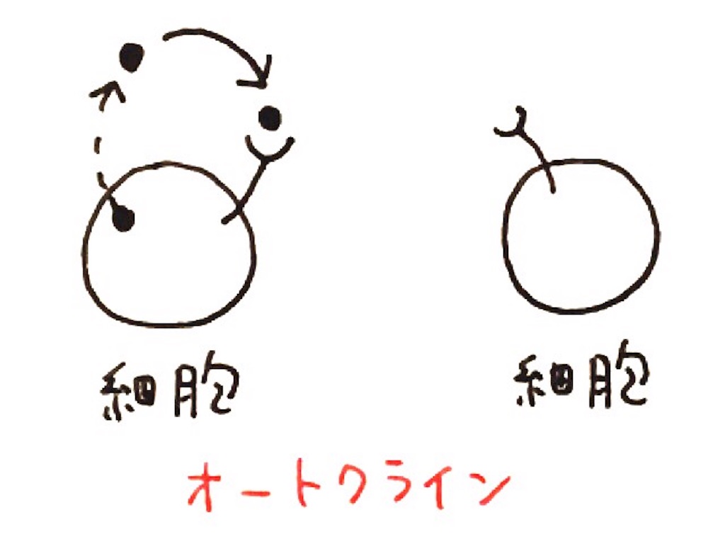 f:id:kshinagawa:20161009082239j:image f:id:kshinagawa:20161009082239j:image
