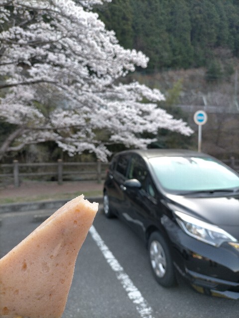 f:id:kshynkty:20220412221443j:image f:id:kshynkty:20220412221443j:image