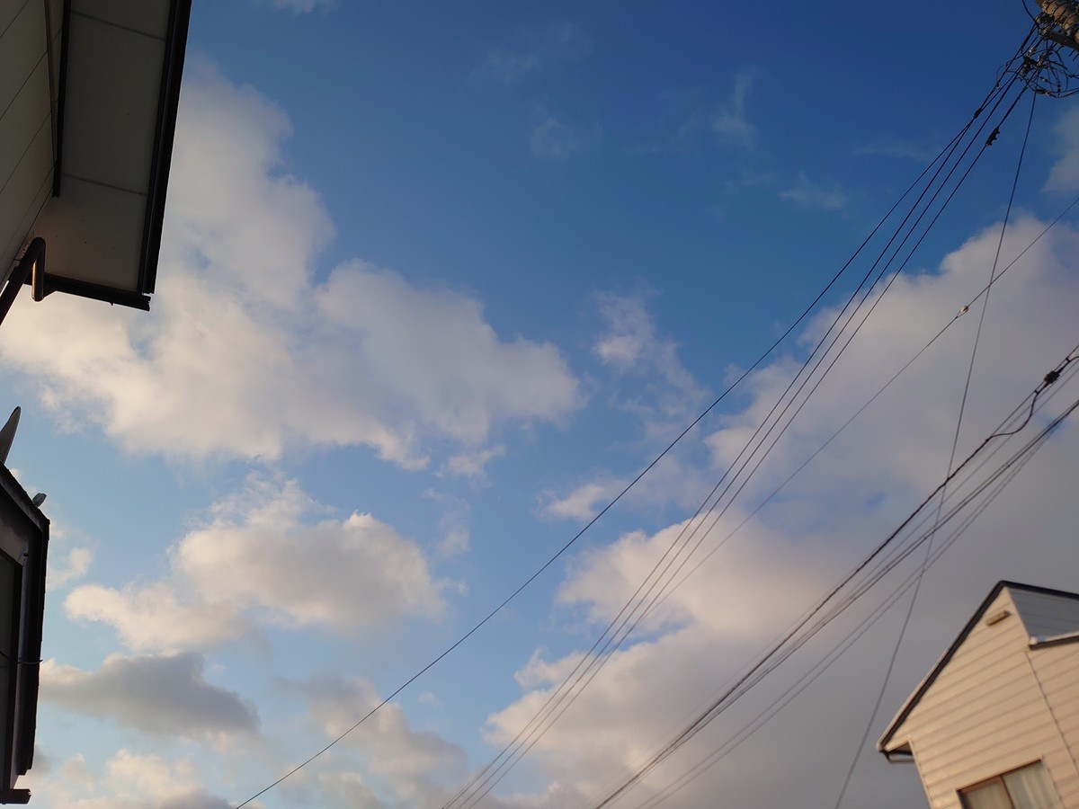f:id:ksiz:20200208071740j:plain f:id:ksiz:20200208071740j:plain