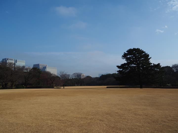 f:id:ksk1130:20160319212257j:plain