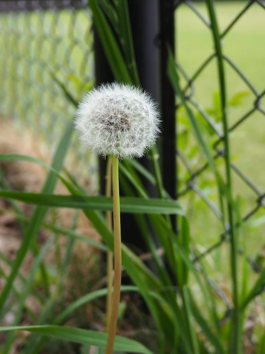 f:id:ksk1130:20160423202213j:plain
