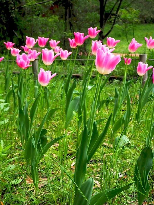 f:id:ksk1130:20160423202219j:plain