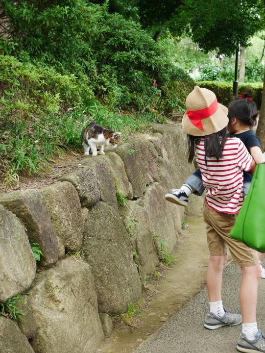 f:id:ksk1130:20160612194039j:plain
