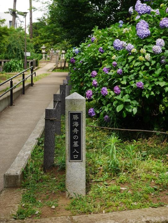 f:id:ksk1130:20160612194045j:plain