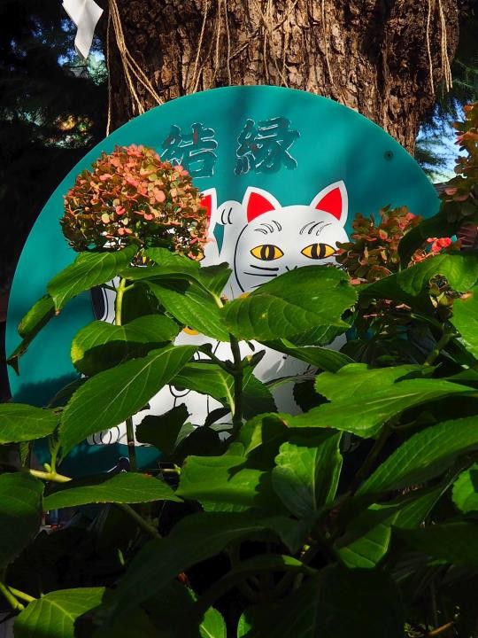 f:id:ksk1130:20161023185811j:plain