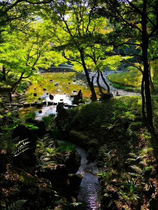 f:id:ksk1130:20161106224033j:plain