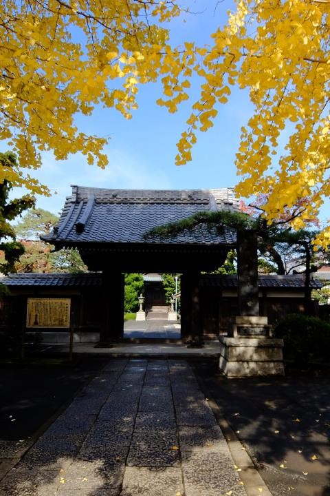 f:id:ksk1130:20161120231252j:plain