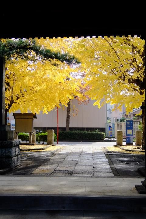 f:id:ksk1130:20161120231255j:plain