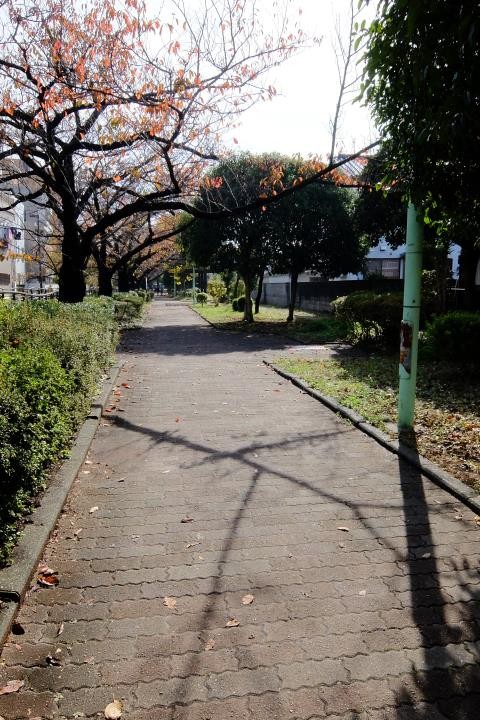 f:id:ksk1130:20161120231257j:plain
