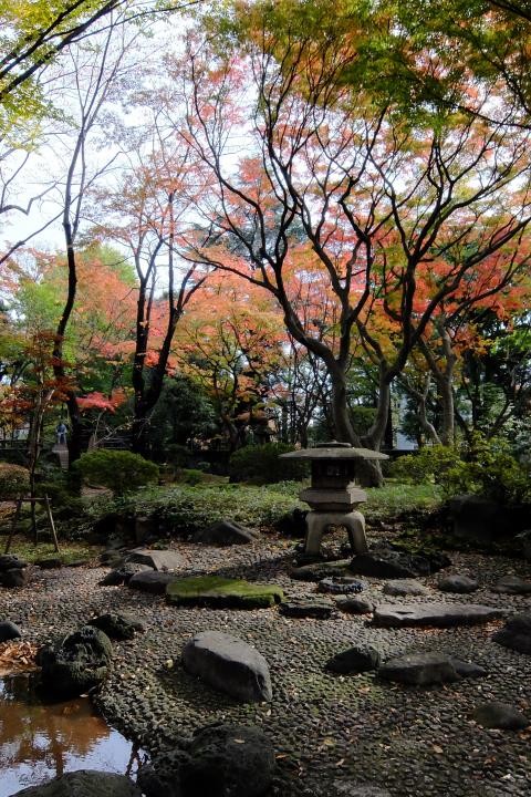 f:id:ksk1130:20161120231305j:plain