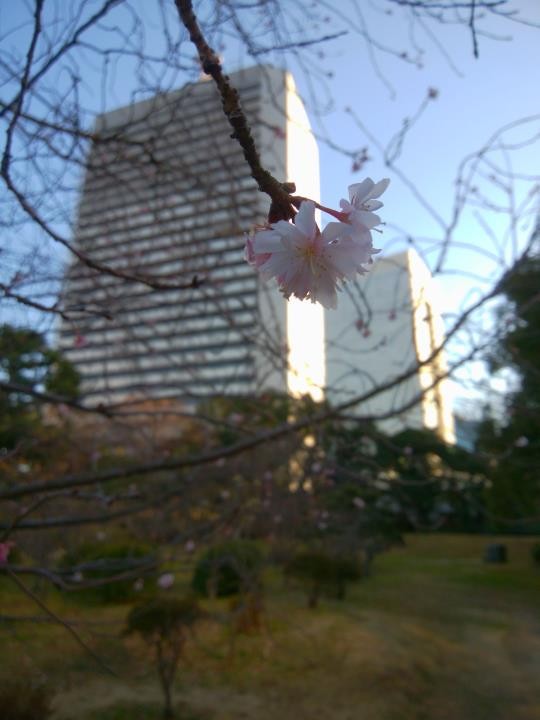 f:id:ksk1130:20170205220505j:plain