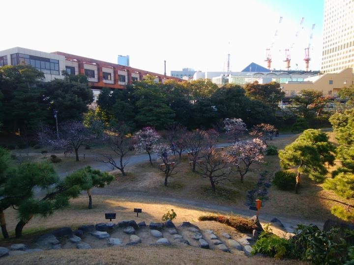 f:id:ksk1130:20170205220506j:plain