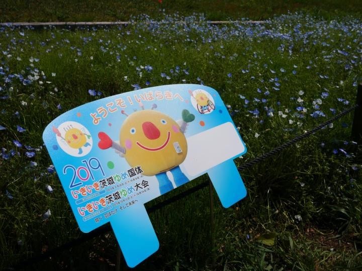 f:id:ksk1130:20180513231410j:plain
