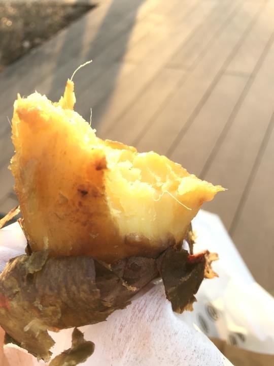 f:id:ksk1130:20190203135109j:plain