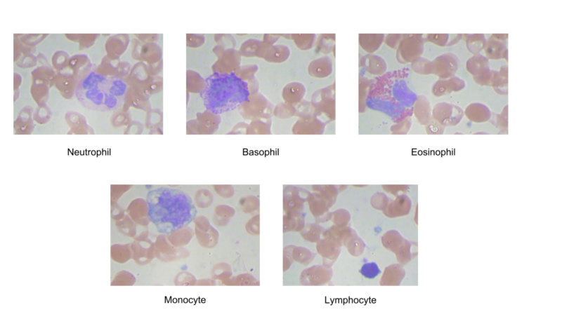 f:id:kskbyt:20170405205313p:plain f:id:kskbyt:20170405205313p:plain