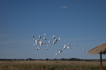 f:id:kskh:20090921111212j:image