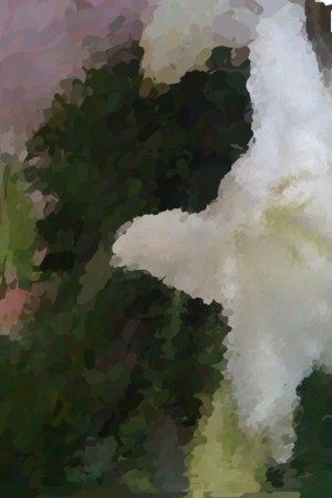 f:id:kskmeuk:20081226232840j:image