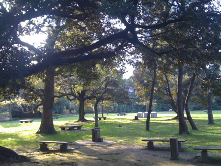f:id:kskmeuk:20090321155216j:image