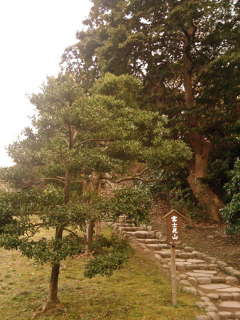 f:id:kskmeuk:20090321155824j:image