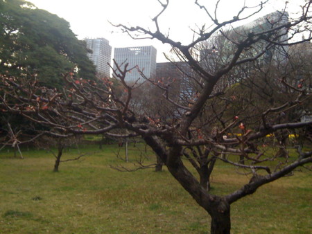 f:id:kskmeuk:20090321161338j:image