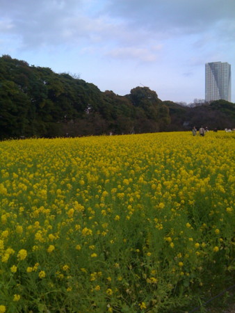 f:id:kskmeuk:20090321161920j:image