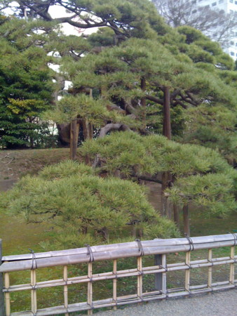 f:id:kskmeuk:20090321162244j:image
