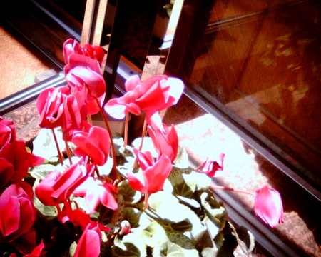 f:id:kskmeuk:20090404185901j:image