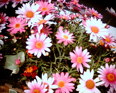 f:id:kskmeuk:20090404185910j:image