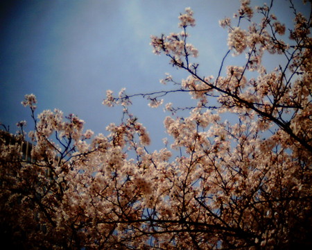 f:id:kskmeuk:20090404185945j:image