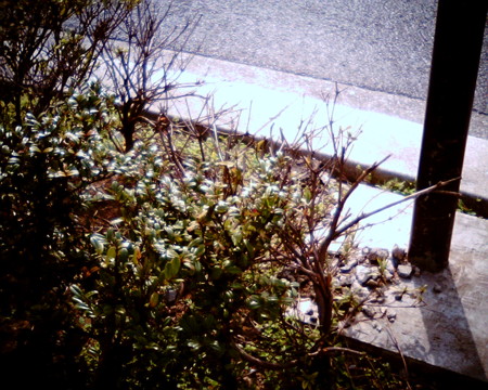 f:id:kskmeuk:20090404185949j:image