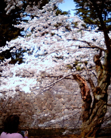 f:id:kskmeuk:20090404185959j:image