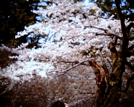 f:id:kskmeuk:20090404190000j:image