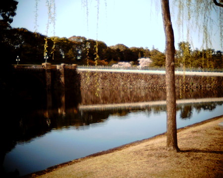f:id:kskmeuk:20090404190009j:image
