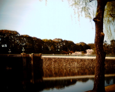 f:id:kskmeuk:20090404190010j:image