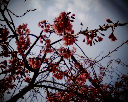 f:id:kskmeuk:20090404190019j:image