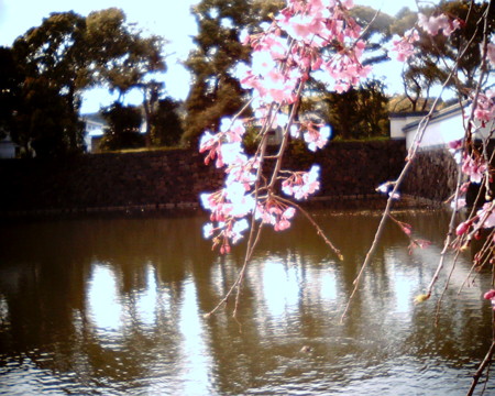 f:id:kskmeuk:20090404190021j:image