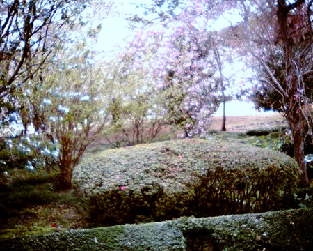 f:id:kskmeuk:20090404190023j:image