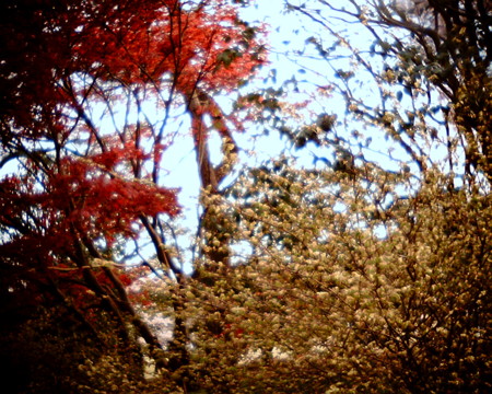 f:id:kskmeuk:20090404190024j:image