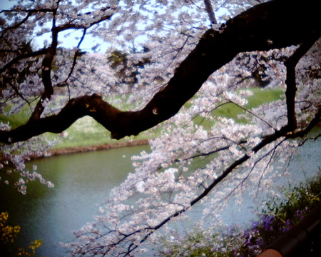 f:id:kskmeuk:20090404190037j:image