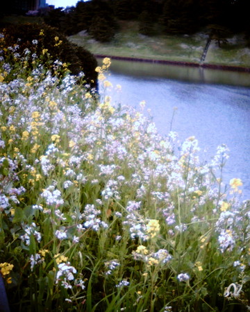 f:id:kskmeuk:20090404190057j:image