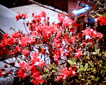 f:id:kskmeuk:20090413190003j:image