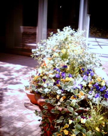 f:id:kskmeuk:20090413190009j:image