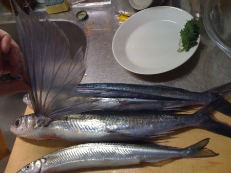 f:id:kskmeuk:20100501075040j:image f:id:kskmeuk:20100501075040j:image