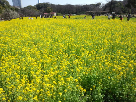 f:id:kskmeuk:20120320135407j:image:w480