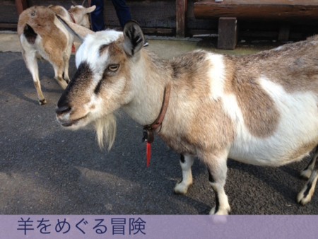 f:id:kskmeuk:20121106000523j:image f:id:kskmeuk:20121106000523j:image
