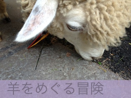f:id:kskmeuk:20121106001343j:image f:id:kskmeuk:20121106001343j:image