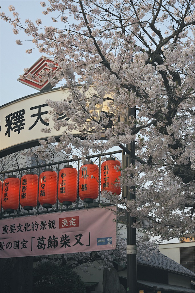 f:id:kskssho:20190424225445j:image f:id:kskssho:20190424225445j:image